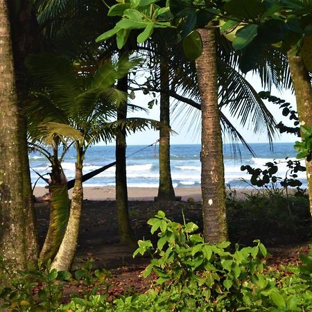 Hotel Pura Natura Beachfront 托尔图格罗 外观 照片